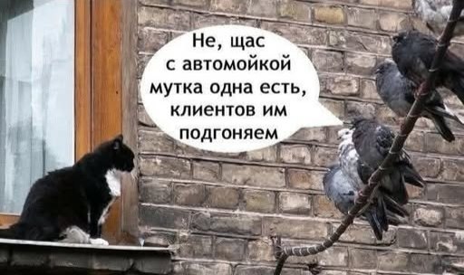 ��� ���� � ����� �� �� - 23 ������� 2025 � 23:03 - 2