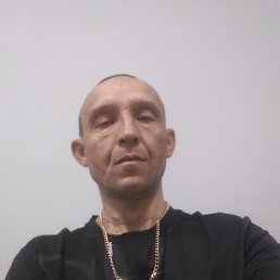 , 42, 