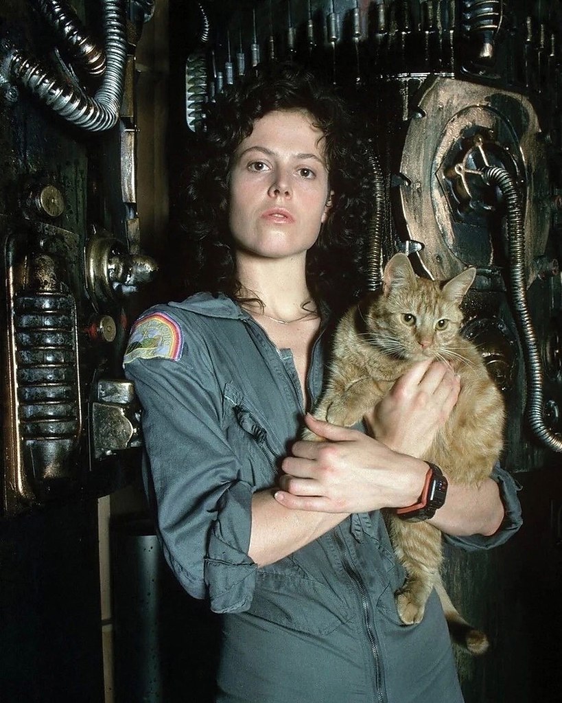  (1979 )  
