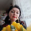 ���� ���������, ������� - ��������� 3 ������ 2026 � ������ ���� ����������