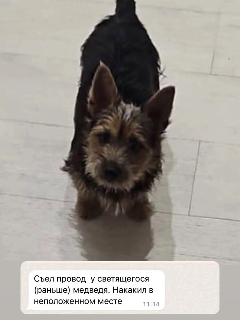 -   !     - 6