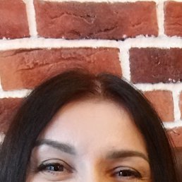  , 41, 