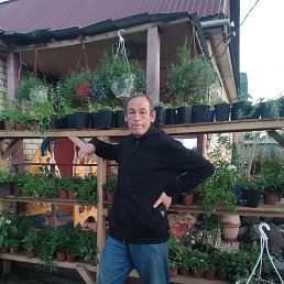 , 50, 