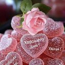 ���� �������, ���� - ��������� 7 ��� 2026 � ������ ������ ��������