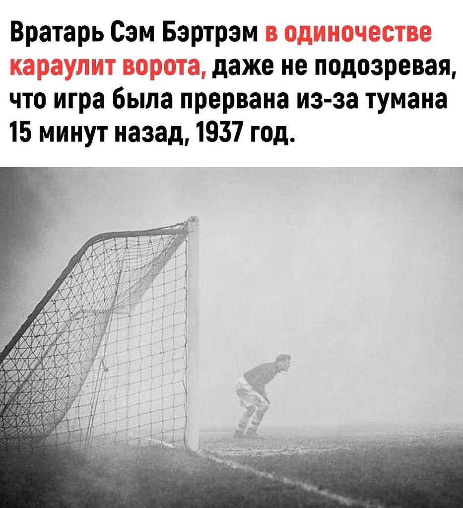 � ������ �������� ������ �� �������