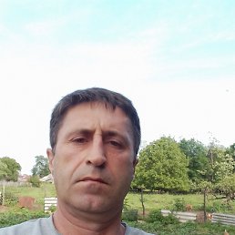, 50, 