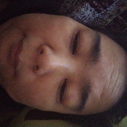 ������, �������, 46 ���