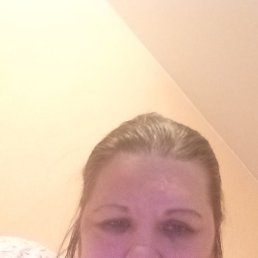 ���� ����, �������, 40 ��� - ��������� 22 ������ 2026
