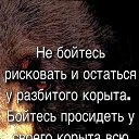 ���� ����, ���������, 62 ���� - ��������� 4 ������ 2026 � ������ ���� ����������