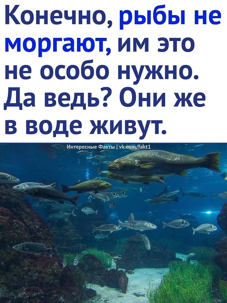  - 18  2023  17:13