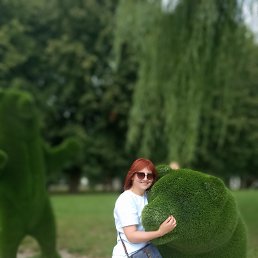 , 53, 