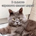  Alla,  -  14  2025    