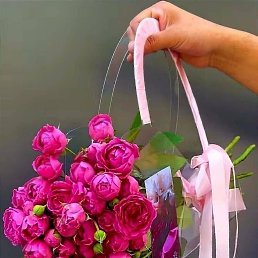 ���� �������� ��������, �������, 59 ��� - ��������� 14 �������� 2024