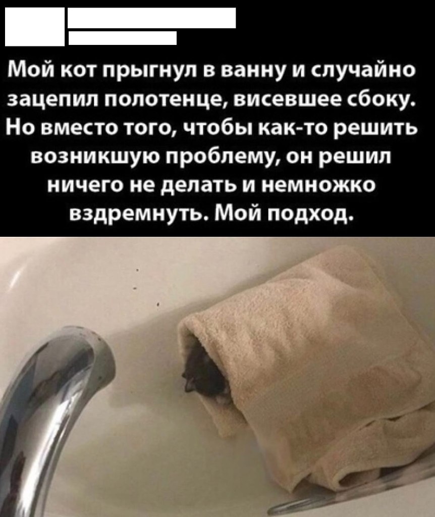  - 21  2025  11:10