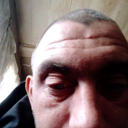   , 33, 
