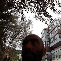 shadi, 33, 