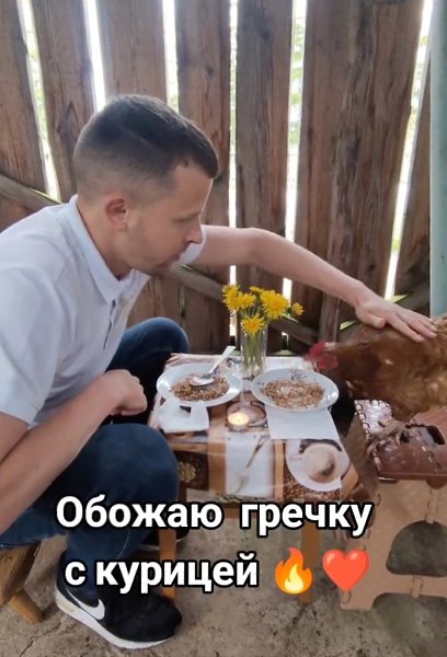 Это вы ещё капусту с козой не пробовали... - 2