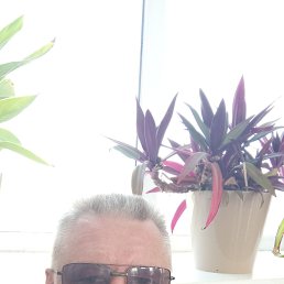 , 49, 