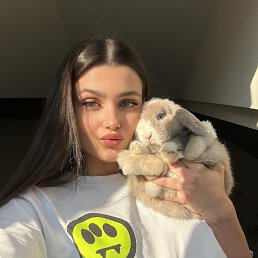 , 24, 