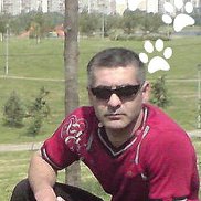 , 50 , 