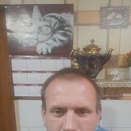 , 41, 