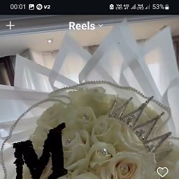 �����, ���������, 24 ����