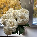 ���� ������, ���������� �����, 53 ���� - ��������� 26 ������ 2025 � ������ ������ ��������
