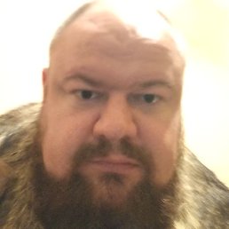 ������, ����, 41 ���