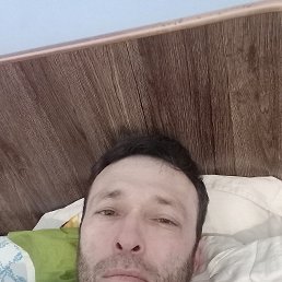 , 44, 