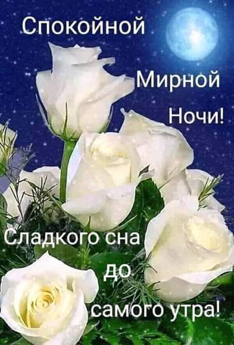   ,    . - 19  2025  23:53