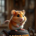  , --, 49  -  31  2025    