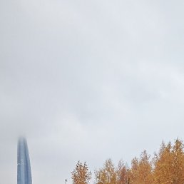, -, 55 