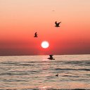 ���� ����, ����������, 49 ��� - ��������� 2 ������ 2025 � ������ ���� ����������