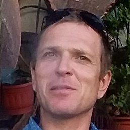 ���������, ���������, 46 ���