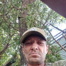 �����, �������, 42 ����