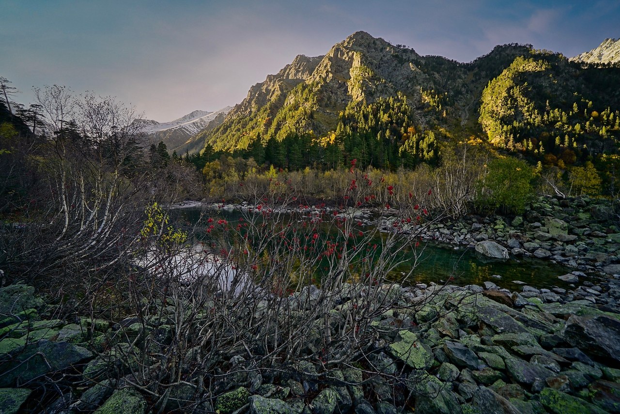 ace opa. occ, apaaeo-epecc, eepc aoe. - 7