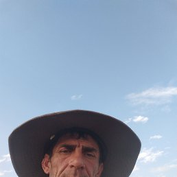 , 42, 