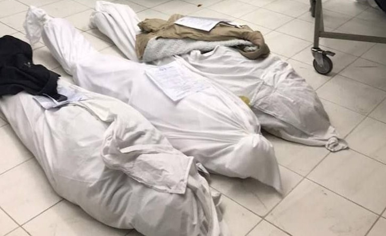   ,  ,    ,    . ... - 2