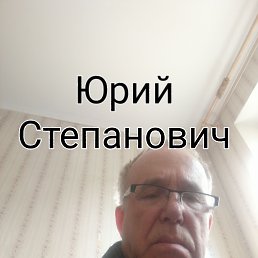 ���� ����, ������, 77 ��� - ��������� 6 ������ 2024