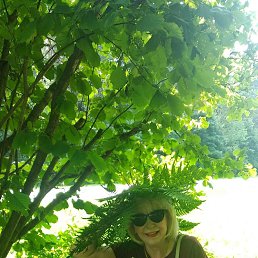 ���� ���, ������, 62 ���� - ��������� 14 ������ 2023