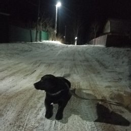 ���� ������, ������, 46 ��� - ��������� 29 ������� 2025