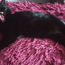 ���� �������, ������-����, 63 ���� - ��������� 7 �������� 2024 � ������ ���� ����������