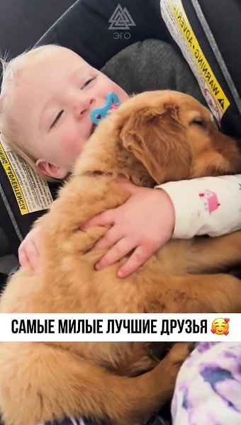 Крепкая связь и крепкая дружба между маленьким человеком и собакой