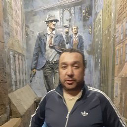 , 44 , 