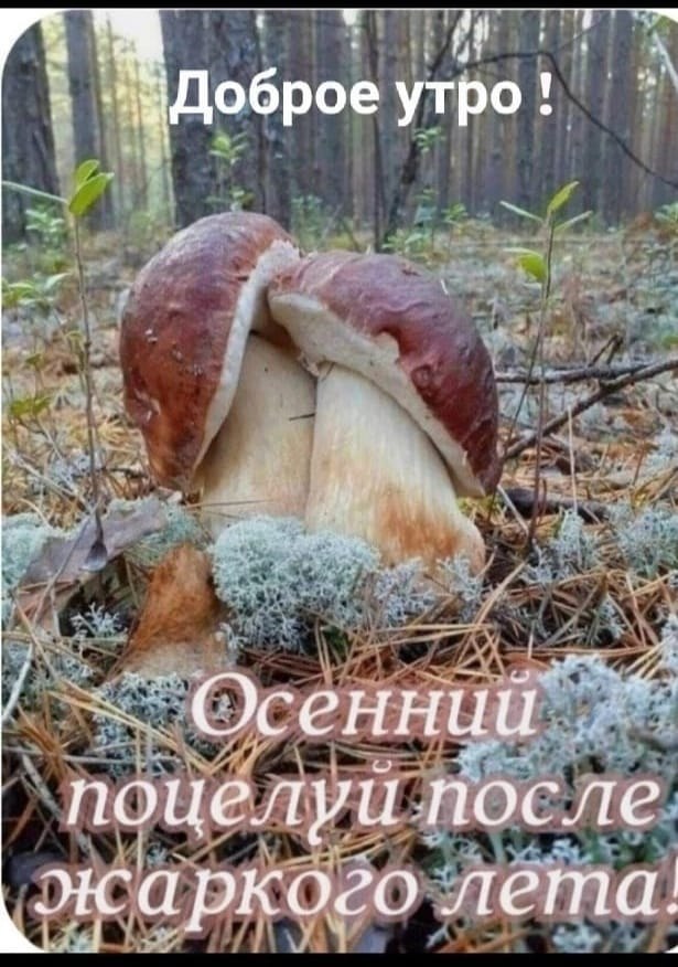   - 14  2024  13:32
