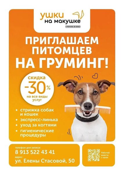 Если вы читаете этот пост, и у вас есть кошка или собака, это знак – пора записать своего питомца на ...