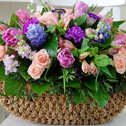 �������, �����, 52 ����