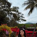 ���� Amir, �����, 26 ��� - ��������� 23 ��� 2026 � ������ ���� ����������