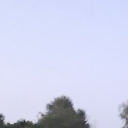 , , 41 