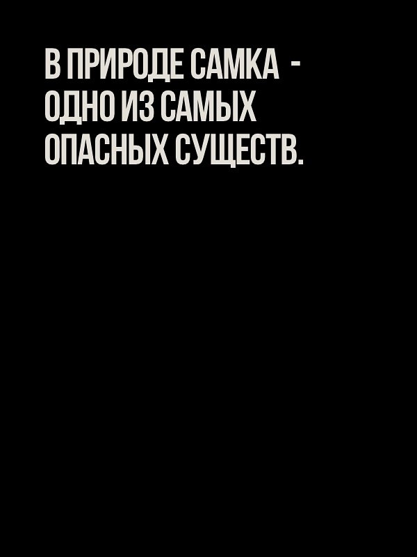 Не стоит об этом забывать